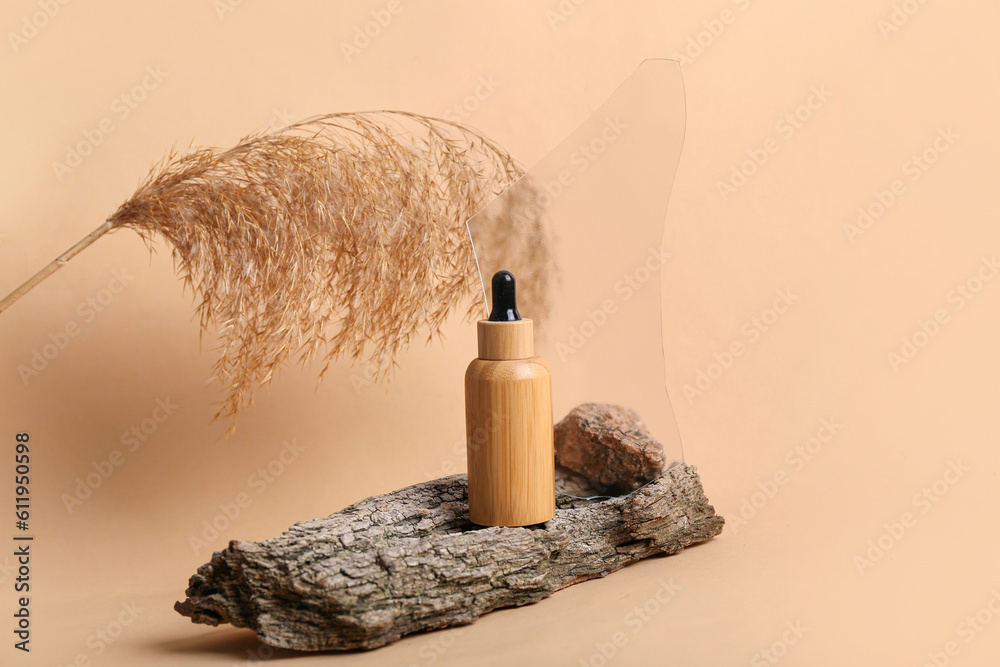 Tree bark with bottle of essential oil, glass and pampas grass on color background