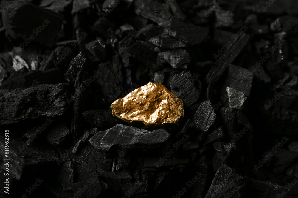 Golden nugget on black charcoal