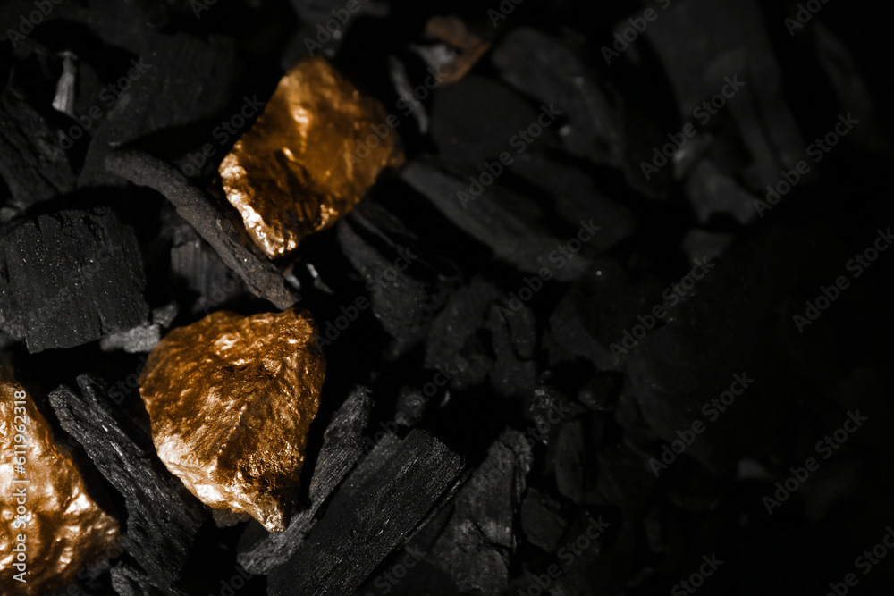 Golden nuggets on black charcoal, closeup