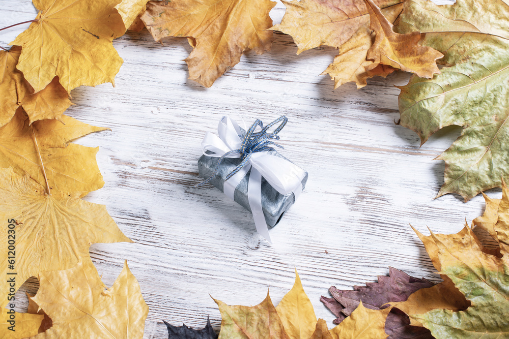 Bright autumn composition with gift box