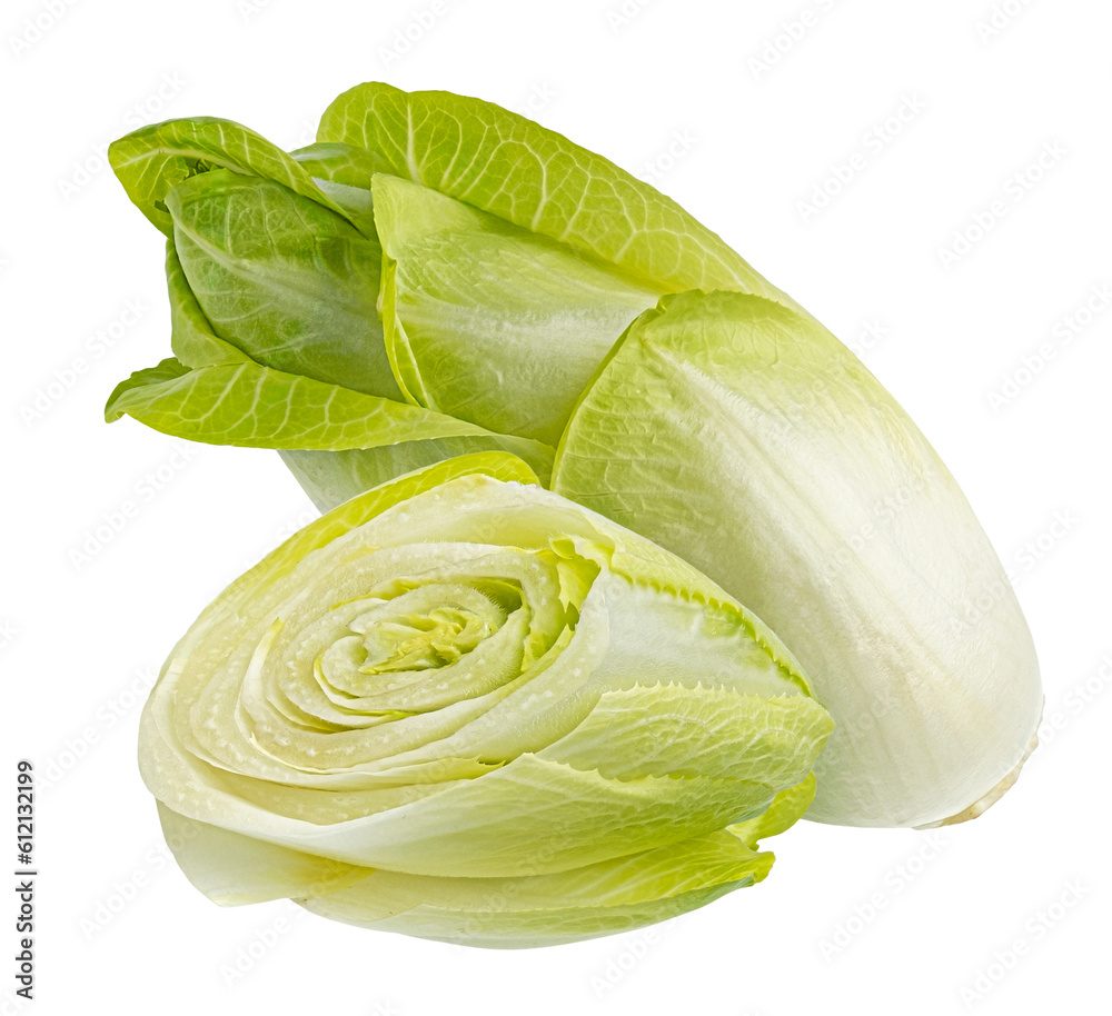 Fresh endive, green chicory salad isolated on white background