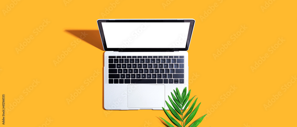 Laptop computer with tropical leaf from above