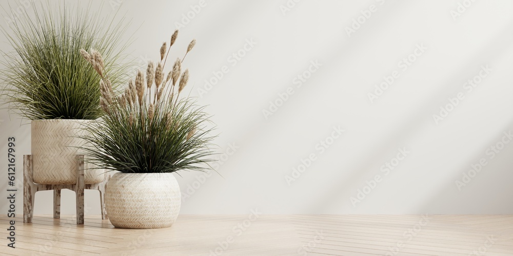 White wall background empty room with plants on a wooden floor.3d rendering