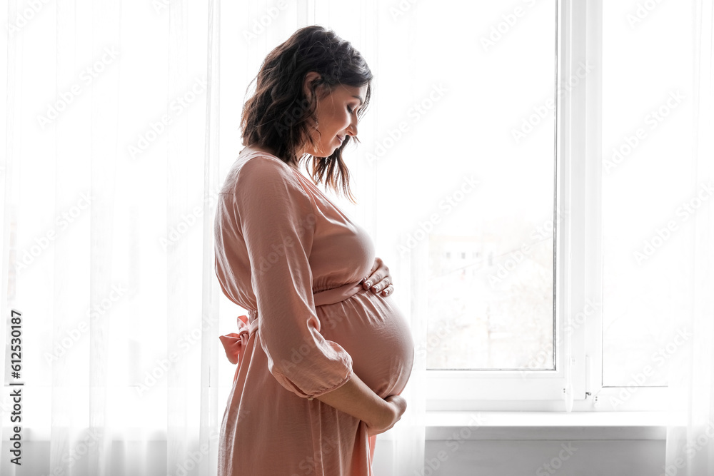 Young pregnant woman near window at home