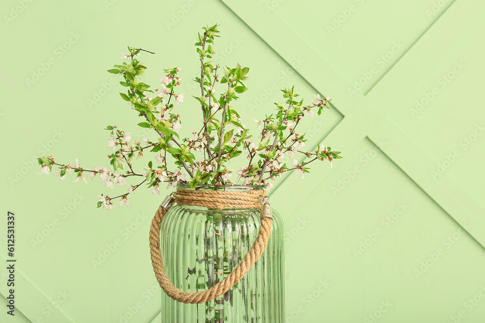 Vase with blooming tree branches on green background