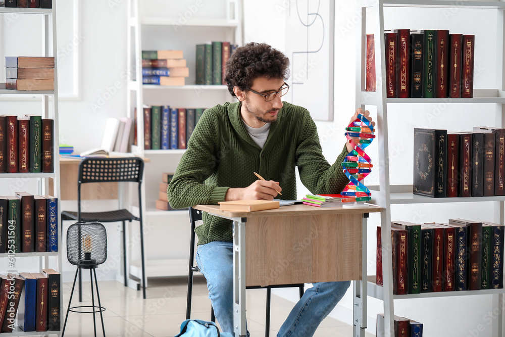 Male student studying with DNA model at table in library