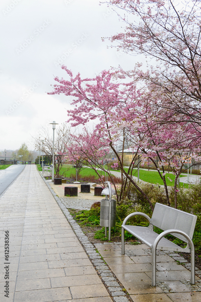 View of city park with alley, benches and trees