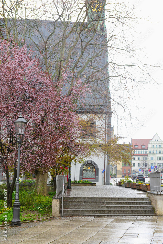 View of city street with trees and houses on cloudy day