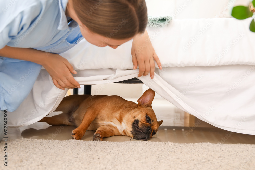 Young woman with cute French bulldog in bedroom