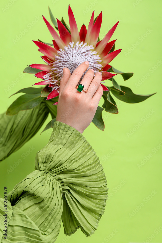 Hand of young woman wearing stylish ring with protea flower near green wall