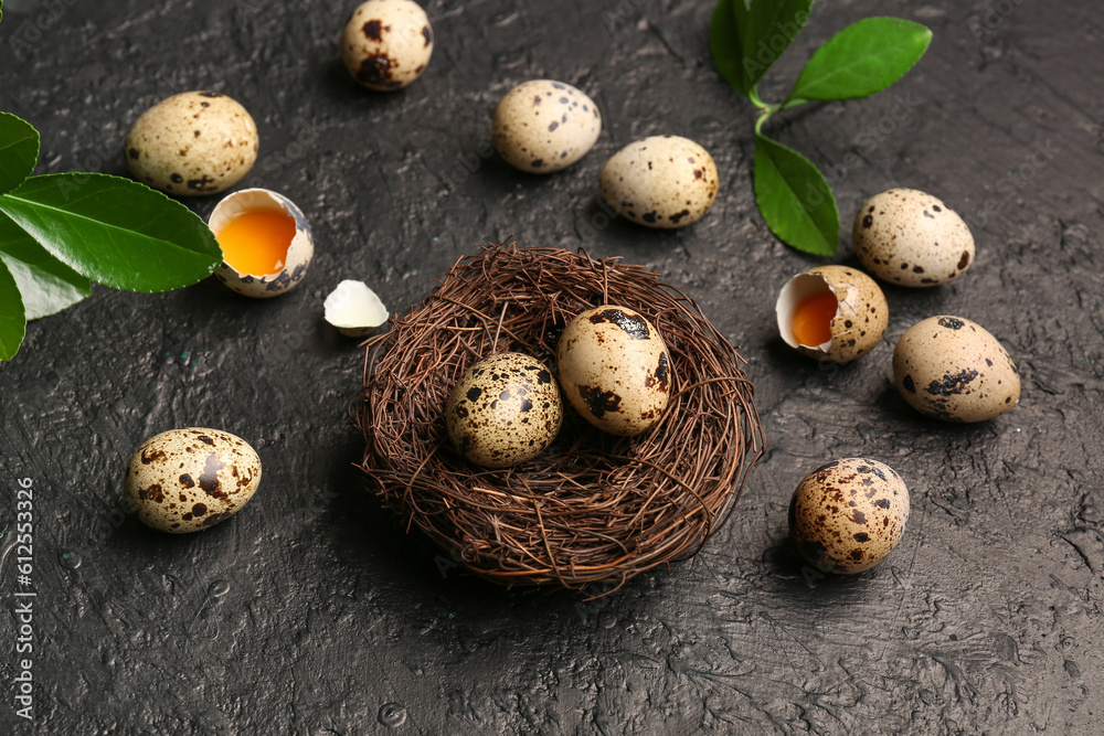 Nest with fresh quail eggs on dark background