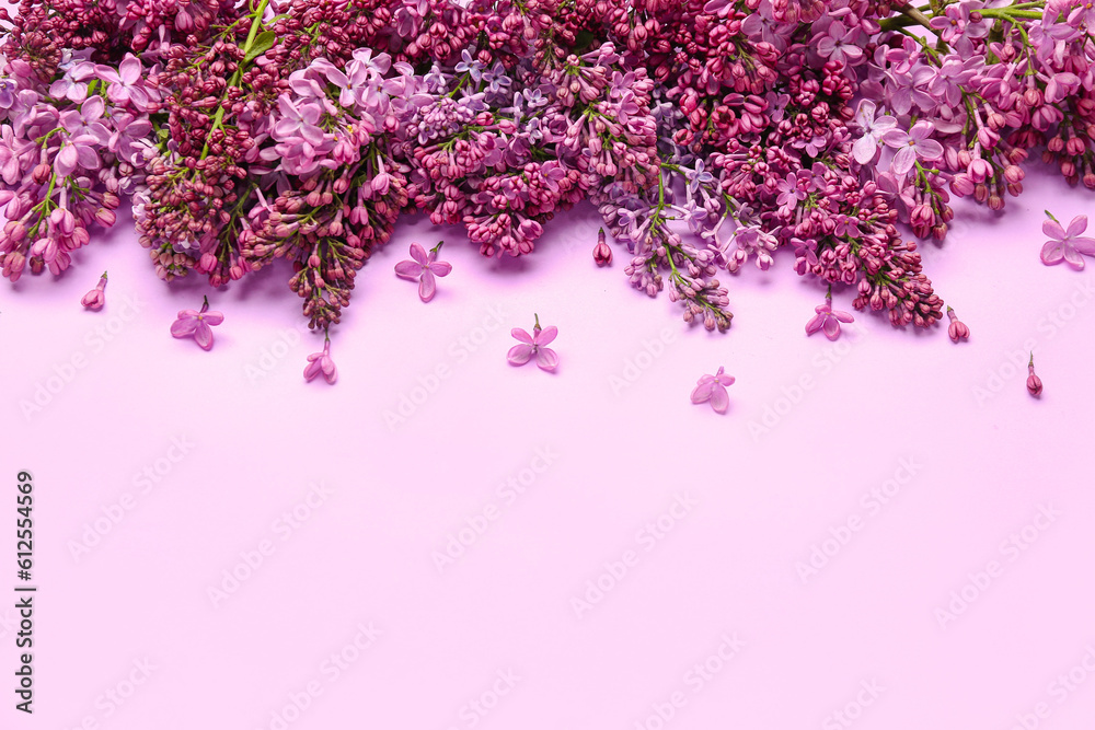 Lilac flowers on color background