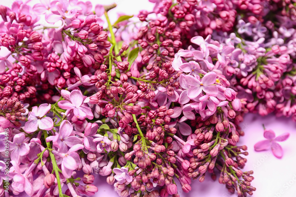 Beautiful lilac flowers as background