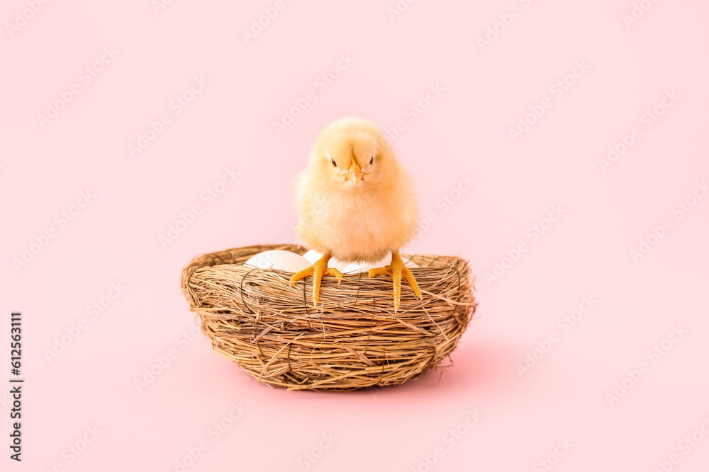 Nest with eggs and cute little chick on pink background