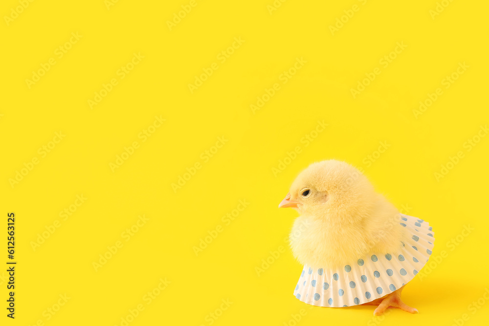 Cute little chick with skirt on yellow background