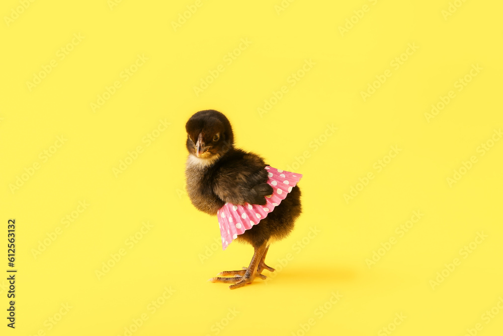 Cute little chick with skirt on yellow background