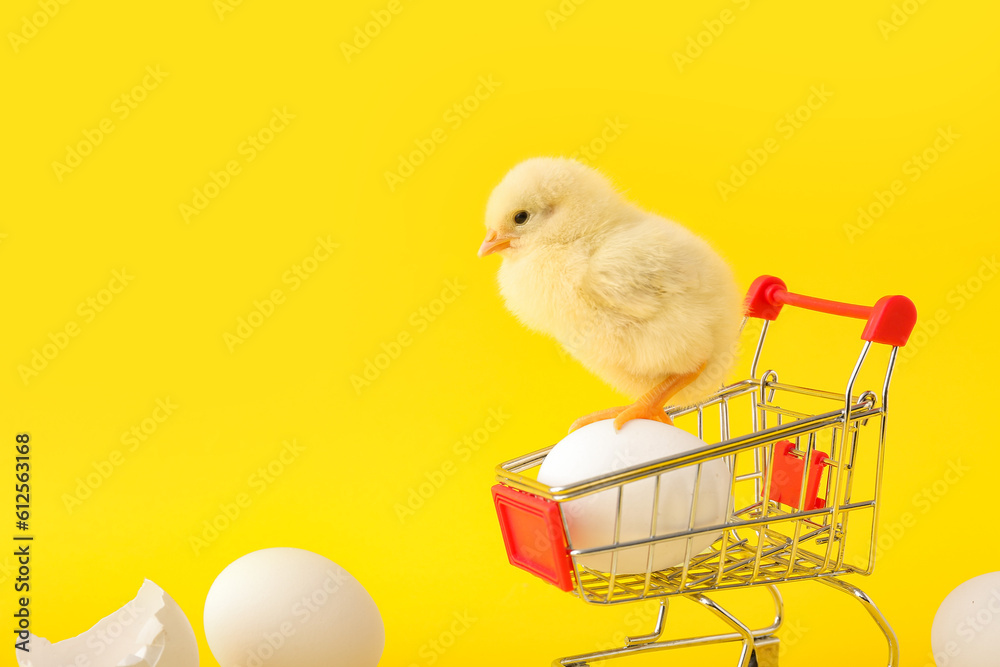 Shopping cart with cute little chick and eggs on yellow background