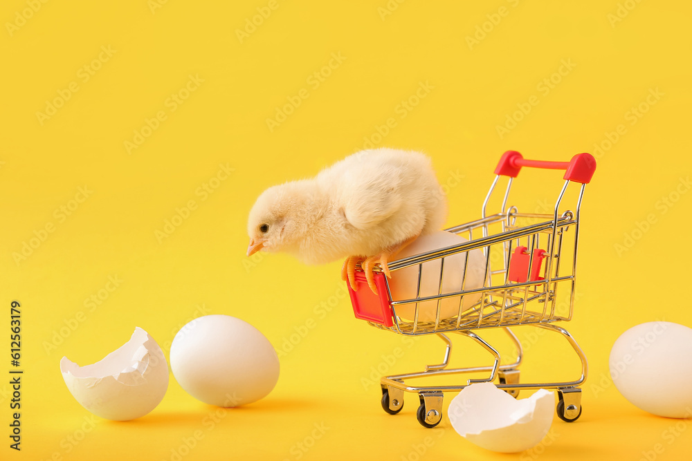 Shopping cart with cute little chick and eggs on yellow background