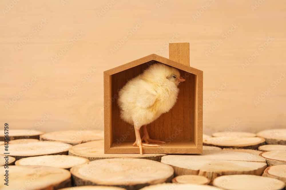 House figure with cute little chick on wooden table