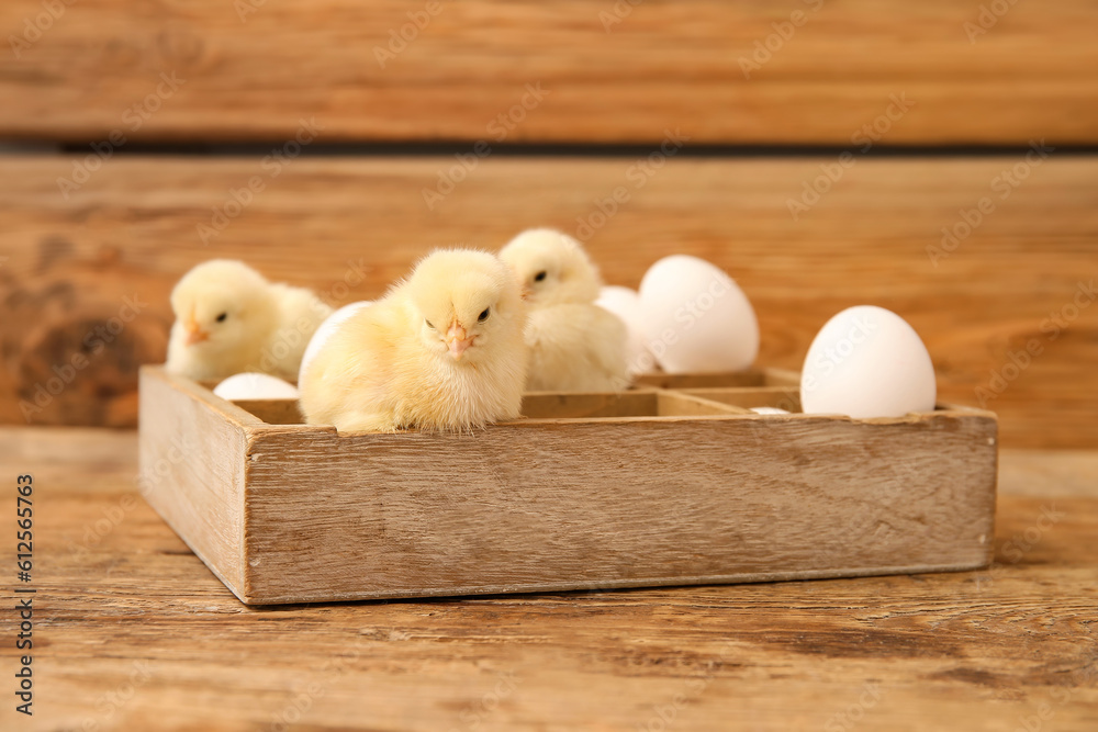 Box with cute little chick and eggs on wooden background