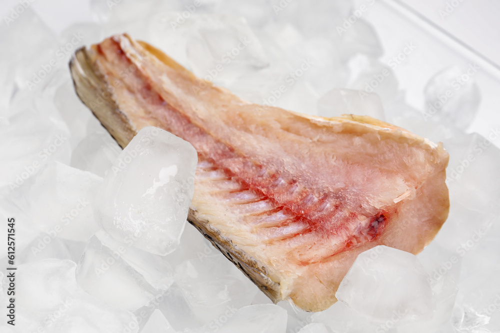 Raw codfish with ice cubes on white background