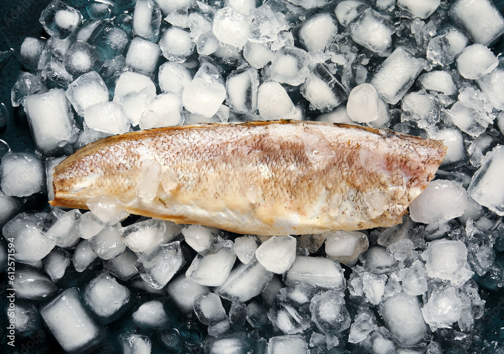 Raw codfish with ice cubes on dark background