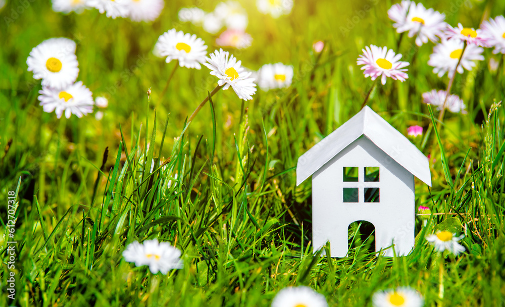 The symbol of the house stands among white daisies 