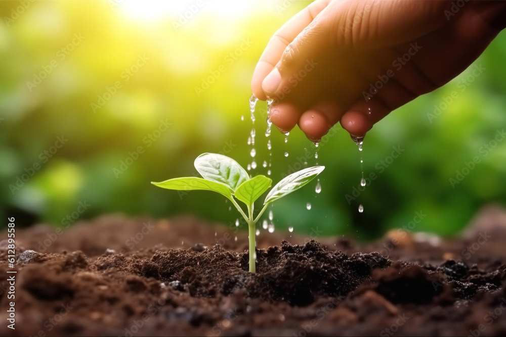 The concept of caring for a plant with one hand in a green background, natural plant seeding and gro