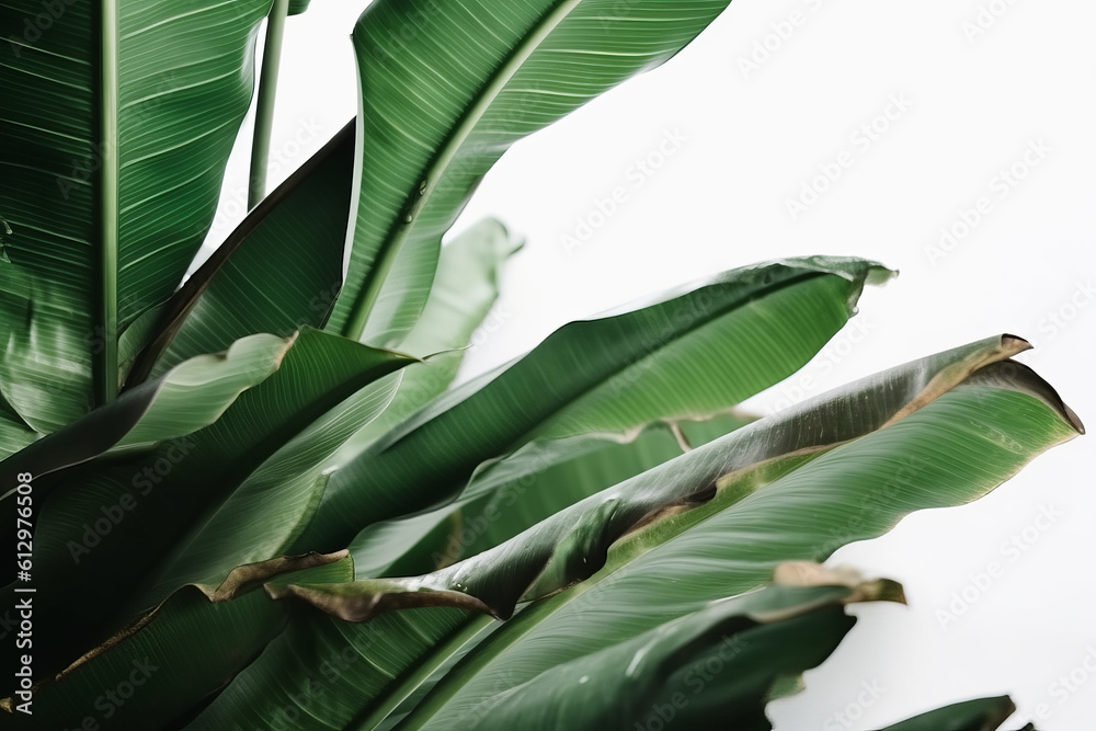 Banana leaves background. Illustration AI Generative.