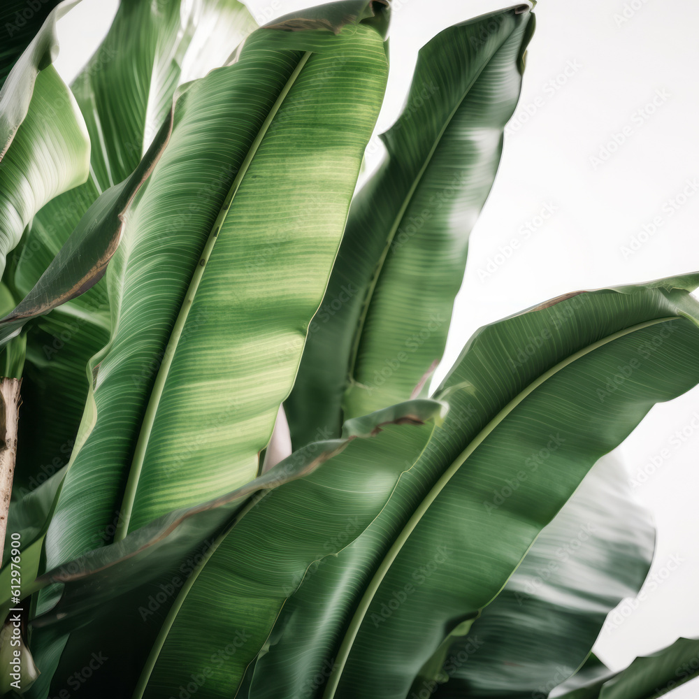 Banana leaves background. Illustration AI Generative.