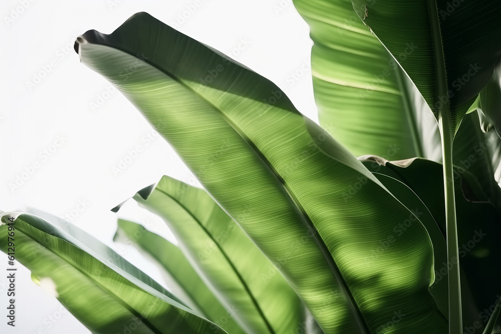 Banana leaves background. Illustration AI Generative.