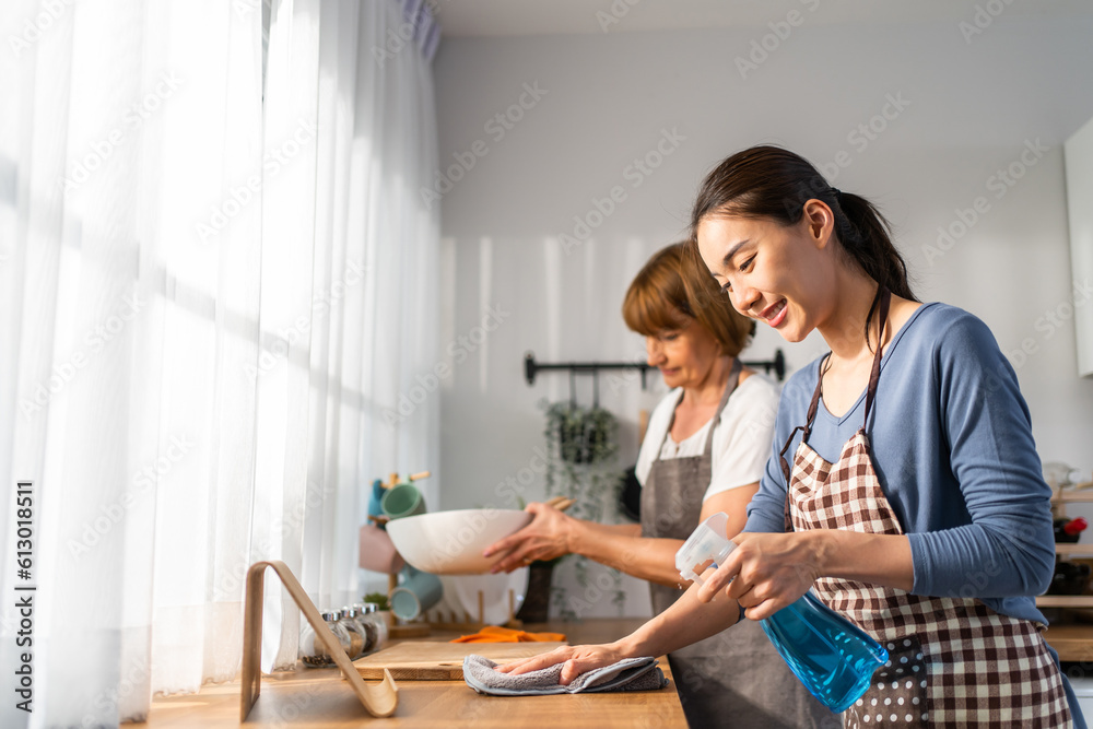 Caucasian senior elderly woman cleaning kitchen in house with daughter. 