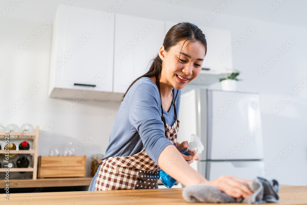 Asian beautiful cleaning service woman worker cleaning kitchen at home. 