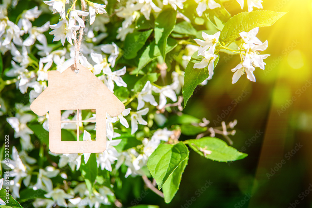 Symbol of the house on the branches of a flowering jasmine