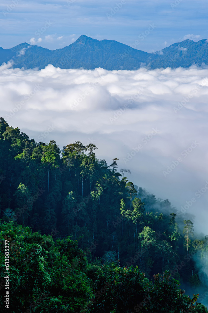 landscape and sky background