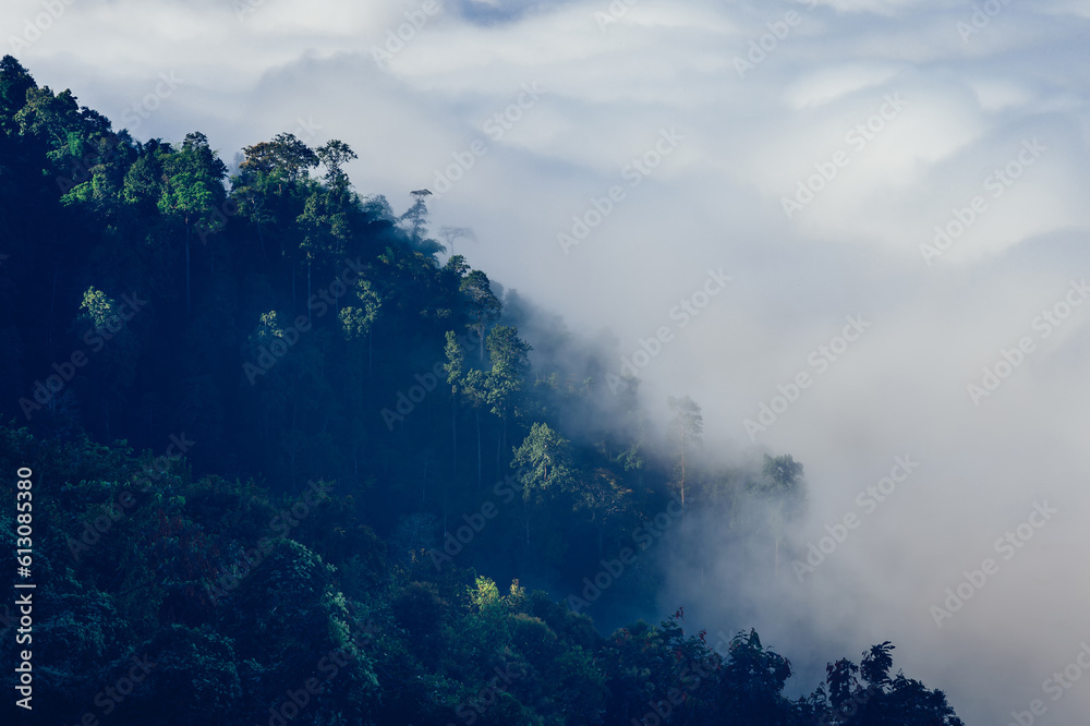 landscape and sky background