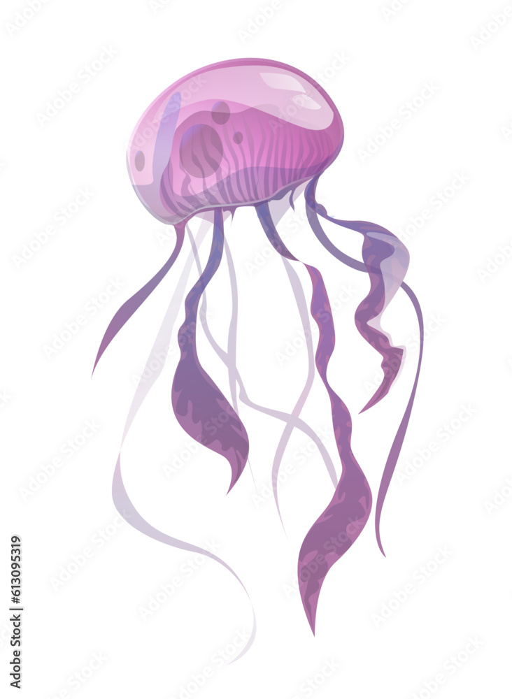 Drawing of jellyfish on white background, vector illustration