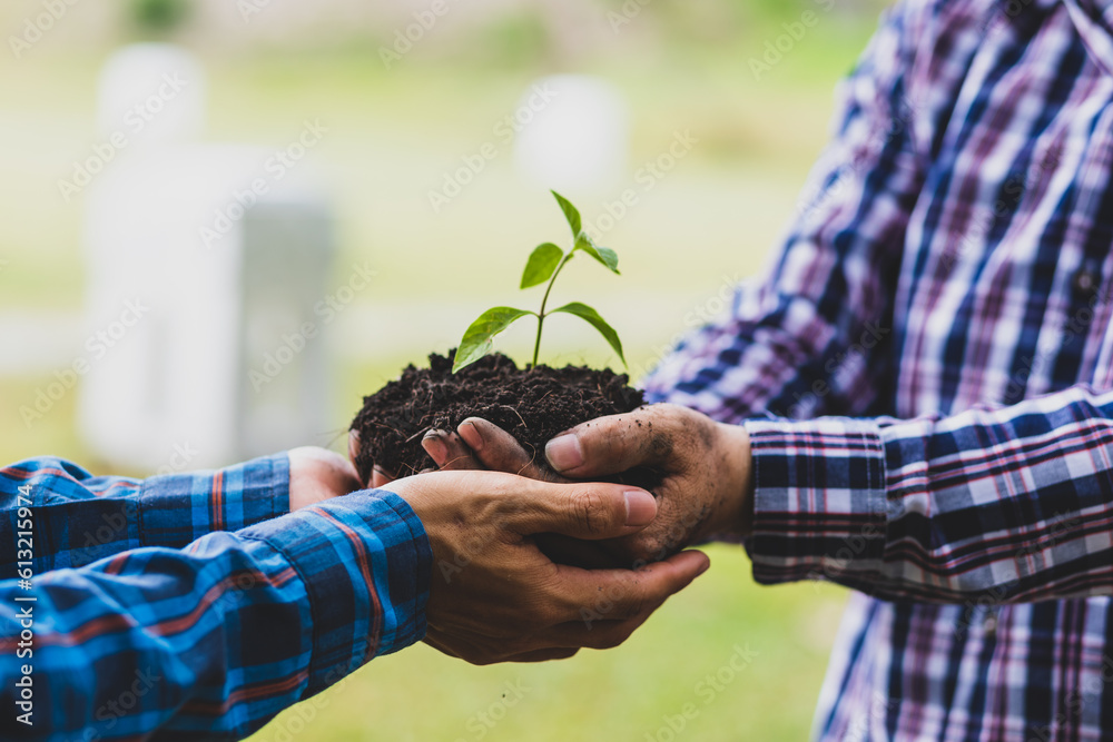 Farmers plant seedlings into fertile soil, nature care cooperation.