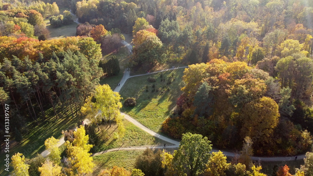 Flying over trees with yellow and green leaves in park with dirt paths and people walking on sunny a