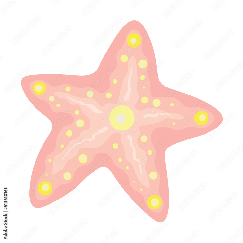 Beautiful starfish on white background