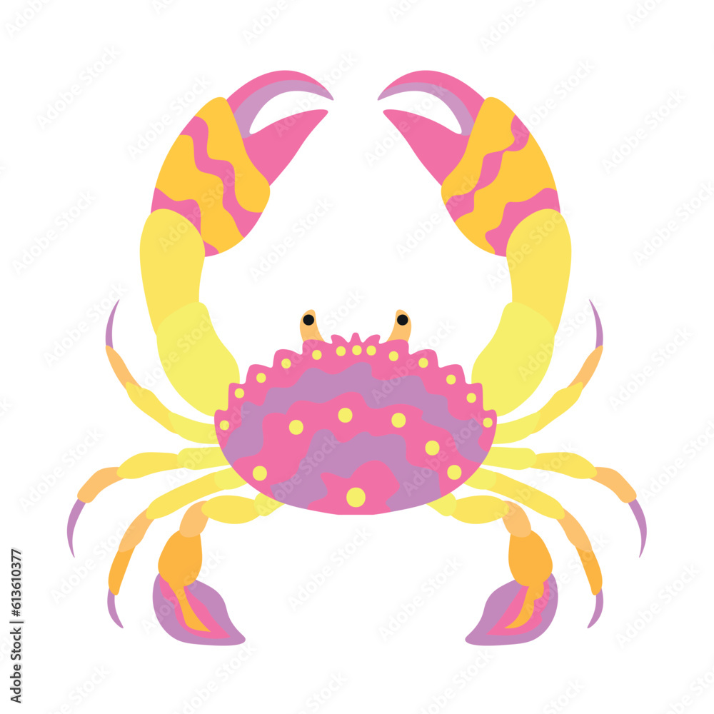 Beautiful crab on white background