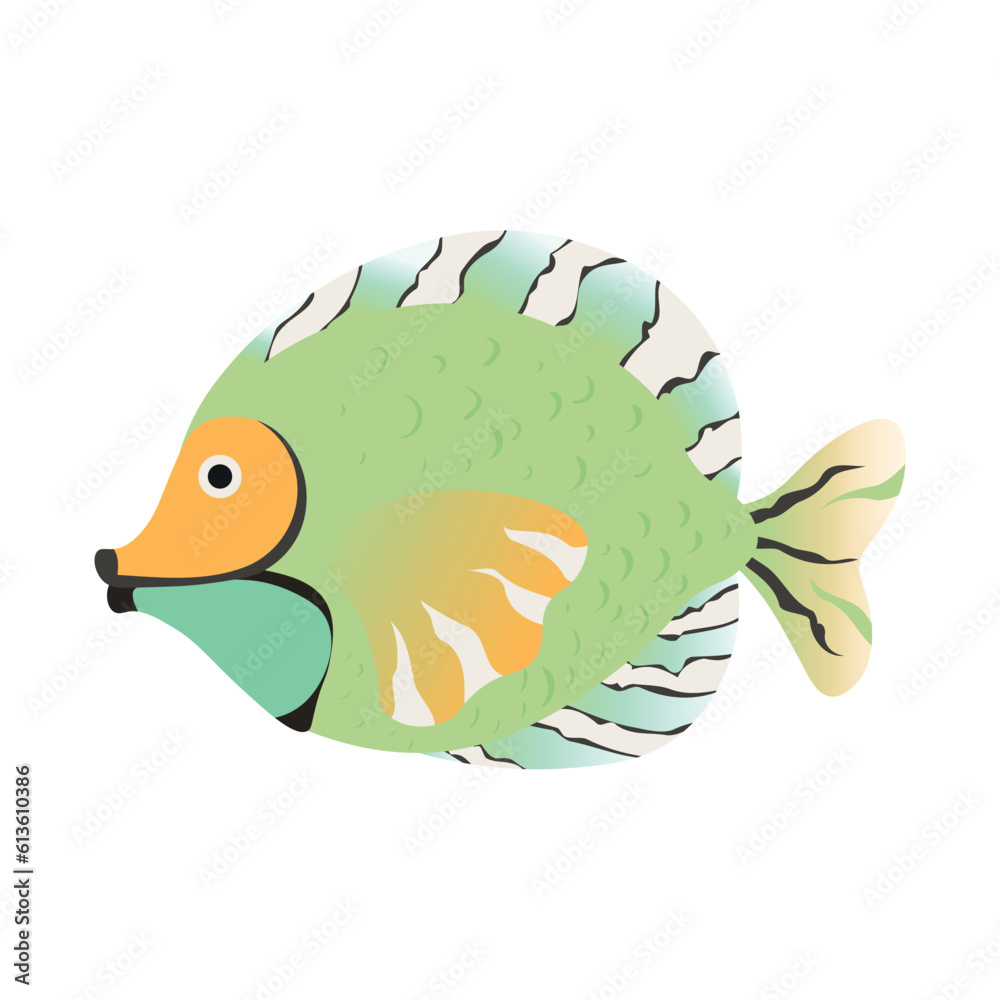 Beautiful coral fish on white background