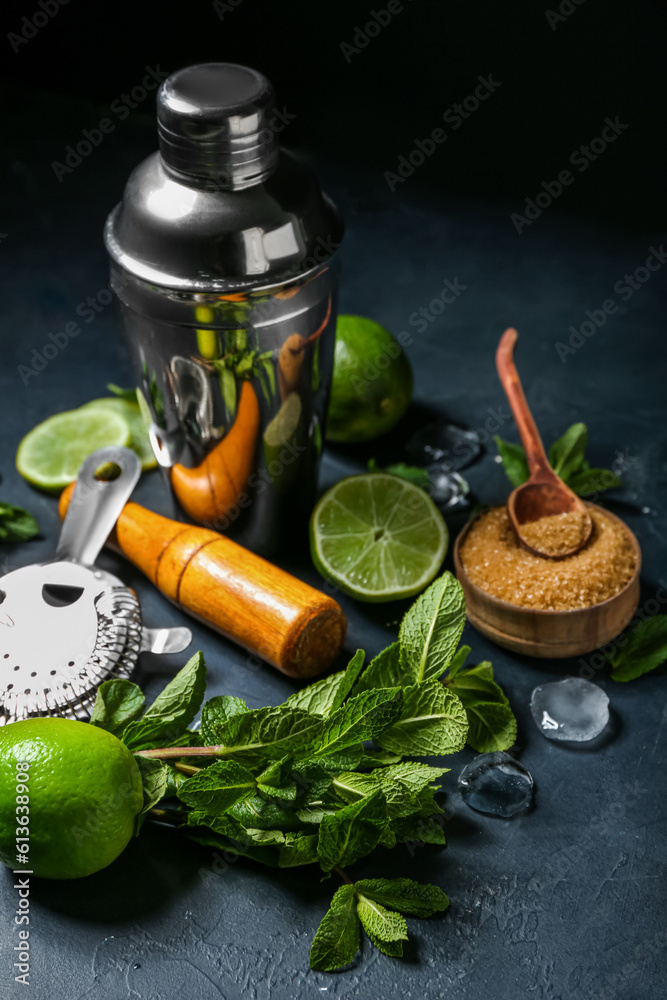 Shaker, mortar and ingredients for preparing mojito on dark background