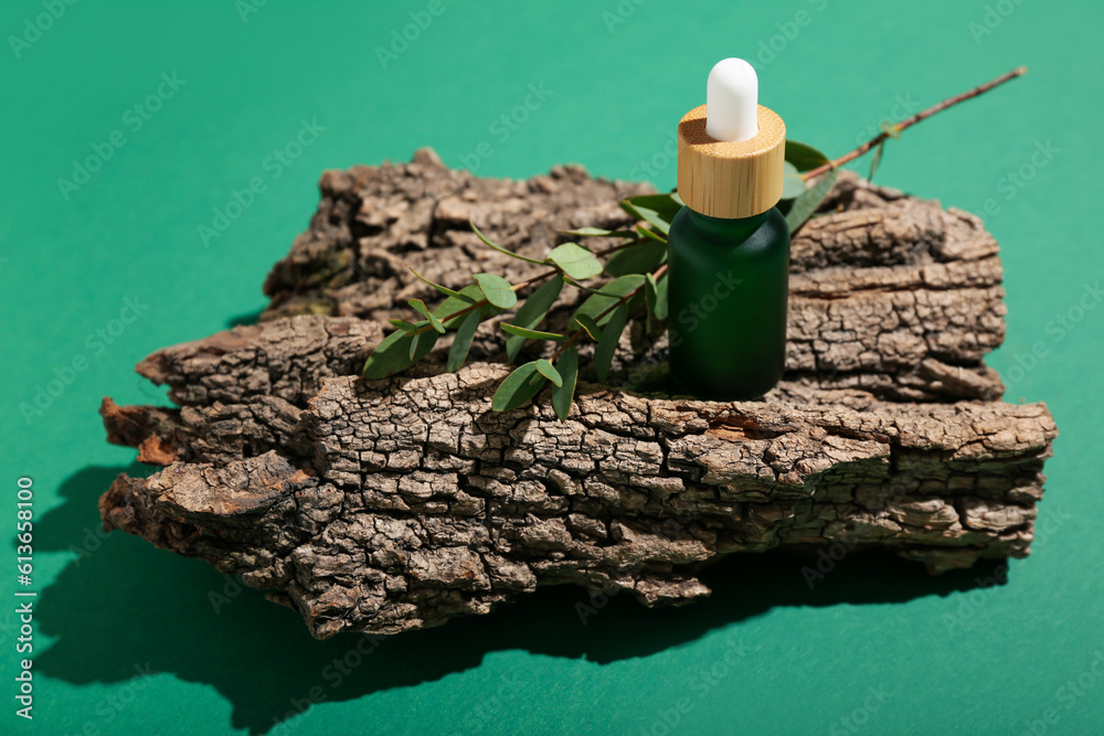 Bottle of essential oil, tree bark and eucalyptus branch on green background