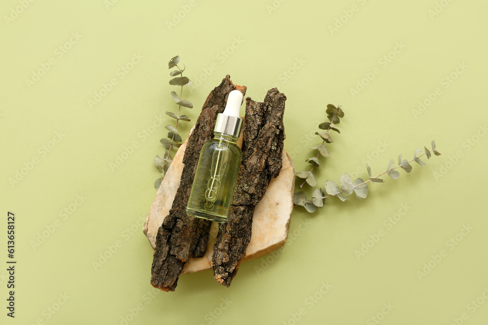 Composition with bottle of essential oil, tree bark, stone and eucalyptus branches on color backgrou