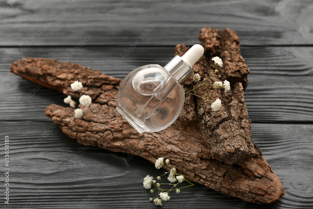 Bottle of essential oil, tree bark and gypsophila flowers on dark wooden background