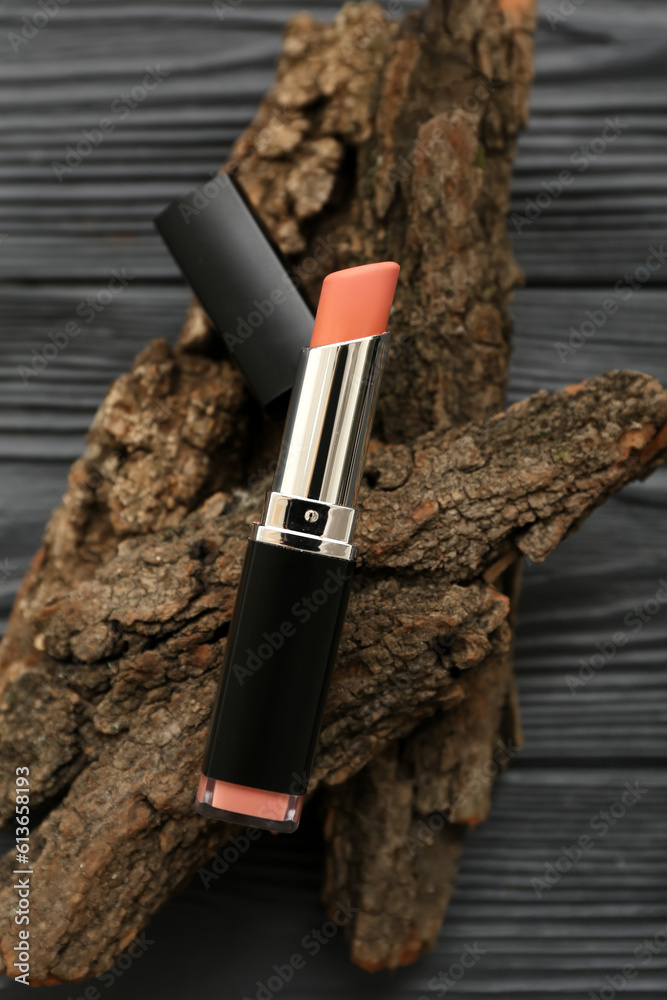 Beautiful lipstick and tree bark on dark wooden background, closeup