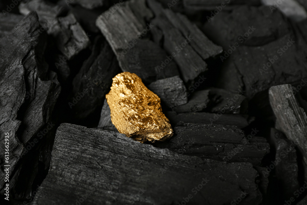 Golden nugget on black charcoal