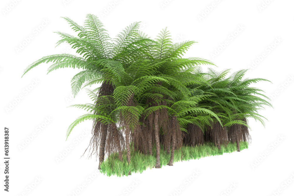 Tropical island on transparent background. 3d rendering - illustration