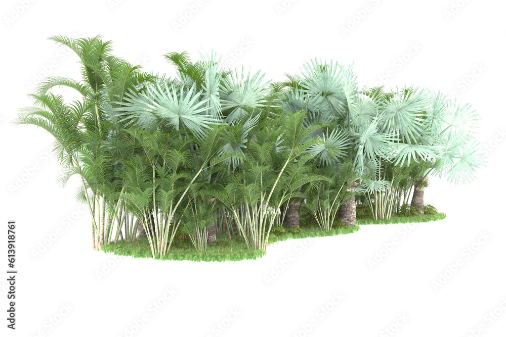 Tropical island on transparent background. 3d rendering - illustration